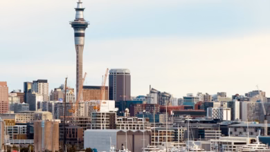 Auckland harbor skyline with ferries, yachts, and sparkling waterfront views beneath the city’s modern buildings and blue sky