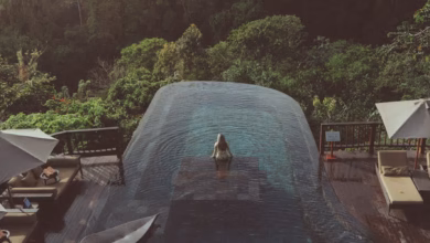 Luxury Bali wellness resort with tropical gardens, palm trees, and serene infinity pool overlooking lush green hills and a tr