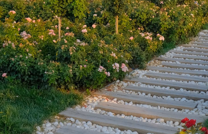 Lush beautiful garden with vibrant flower beds, winding stone paths, and manicured greenery in a peaceful scenic landscape.