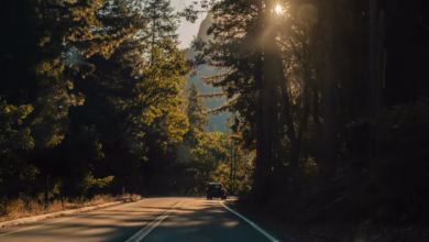 Scenic California coastal highway winding past ocean cliffs and rugged Pacific shoreline, ideal for a California road trip