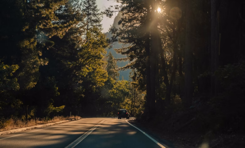 Scenic California coastal highway winding past ocean cliffs and rugged Pacific shoreline, ideal for a California road trip