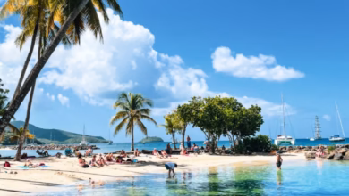 Turquoise Caribbean water and a white-sand tropical beach lined with palm trees under a bright blue sky, perfect for a Caribb