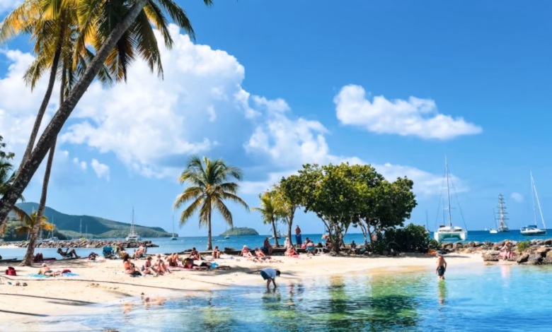 Turquoise Caribbean water and a white-sand tropical beach lined with palm trees under a bright blue sky, perfect for a Caribb