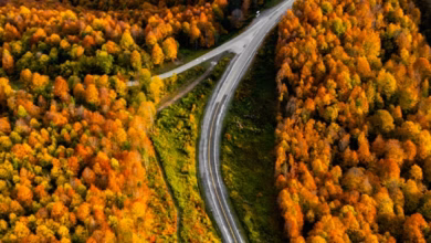 Autumn mountain overlook with colorful fall foliage, winding road, and distant scenic valley under clear sky.