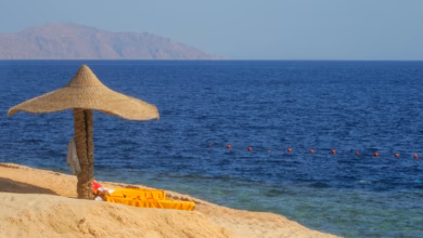 Sharm El Sheikh Red Sea beach with a luxury family resort exterior, blue sea, palm-lined shoreline, and the Sinai mountains i