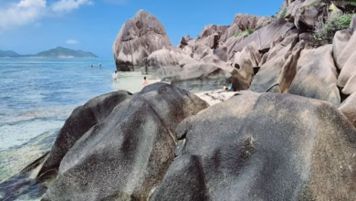 Turquoise water lapping a tropical beach with dramatic granite rocks and lush Seychelles luxury island scenery, ideal for a h
