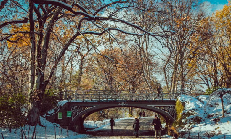 Lush New York park with tree-lined paths, open lawns, and the Manhattan skyline in the distance, a peaceful highlight in this