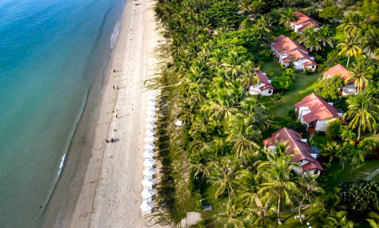 Ocean view resort overlooking a calm tropical beach with turquoise water, palm trees, and a scenic coastal horizon