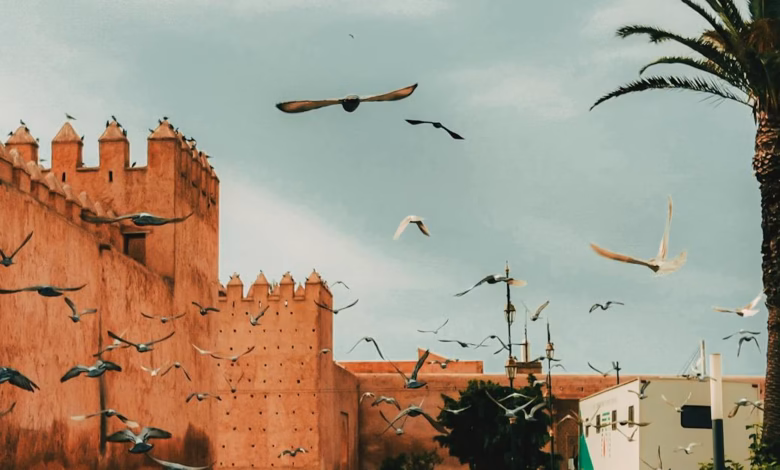 Colorful traditional Moroccan architecture in a historic medina, with ornate arches, tiled facades, and narrow streets reflec