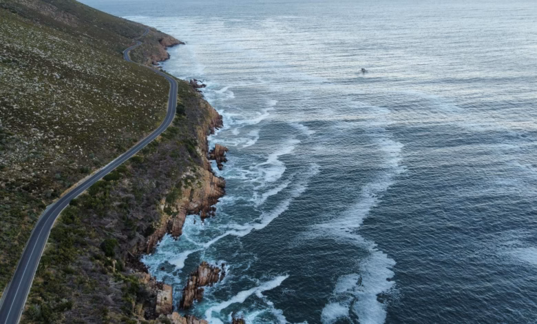 A winding coastal road along South Africa’s Garden Route with lush green forests, rugged cliffs, and the Indian Ocean stretch