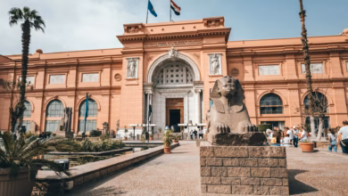 Historic Cairo museum exterior with grand neoclassical architecture, palm-lined grounds, and a landmark setting in the heart