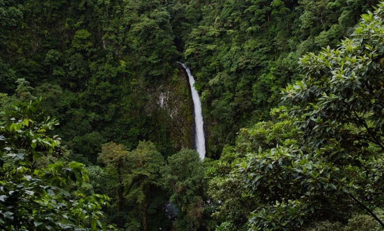 Lush Costa Rica rainforest with cascading waterfalls, dense jungle foliage, and vibrant wildlife in a scenic eco tourism land