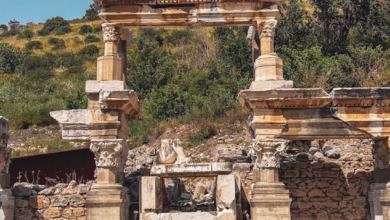 Ancient stone columns and ruins at Ephesus archaeological site in Turkey, showcasing Roman history and classical architecture