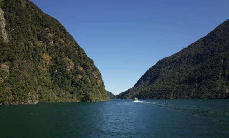 New Zealand fjords with dramatic mountains rising above a blue water landscape, showcasing rugged cliffs and pristine nature