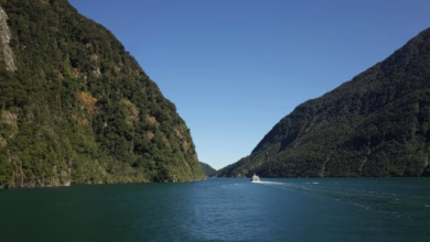 New Zealand fjords with dramatic mountains rising above a blue water landscape, showcasing untouched nature and a scenic adve