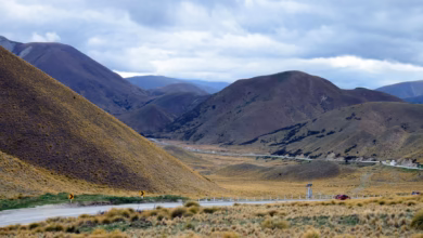 Scenic view of New Zealand South Island with dramatic mountains, a winding road, and lush lakeside landscapes showcasing New