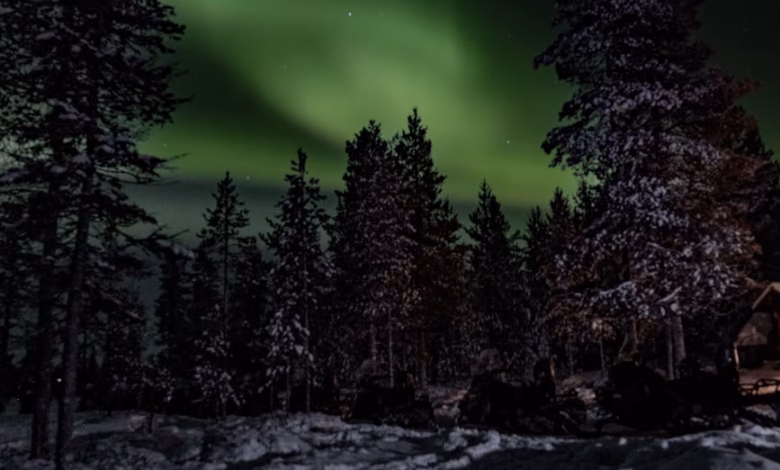 Aurora borealis glowing above a snowy forest in Finland, with a winter landscape and vivid green lights across the night sky.