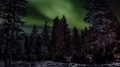 Snow-covered forest in Finland under a vivid aurora sky, with northern lights glowing above a quiet winter landscape.