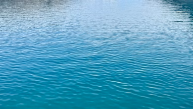 Turquoise alpine lake in the Canadian Rockies surrounded by rugged mountain peaks and forested slopes, showcasing dramatic hi