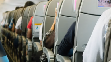 Airplane cabin interior with rows of empty economy seats, overhead bins, and soft window light for travel comfort planning.