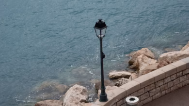 Sunlit Nice France promenade along the Mediterranean coast with palm-lined seafront, blue sea, and coastal city views.