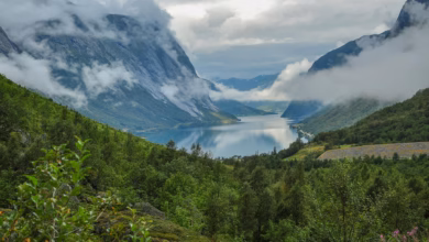 Lush Norwegian fjord landscape with towering green mountains, calm blue water, and a scenic summer coastline, capturing the b